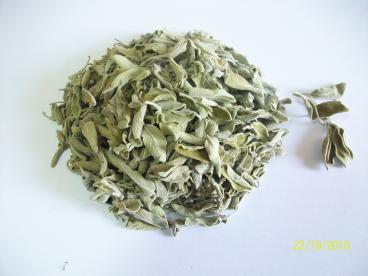 pic_41 pic_41